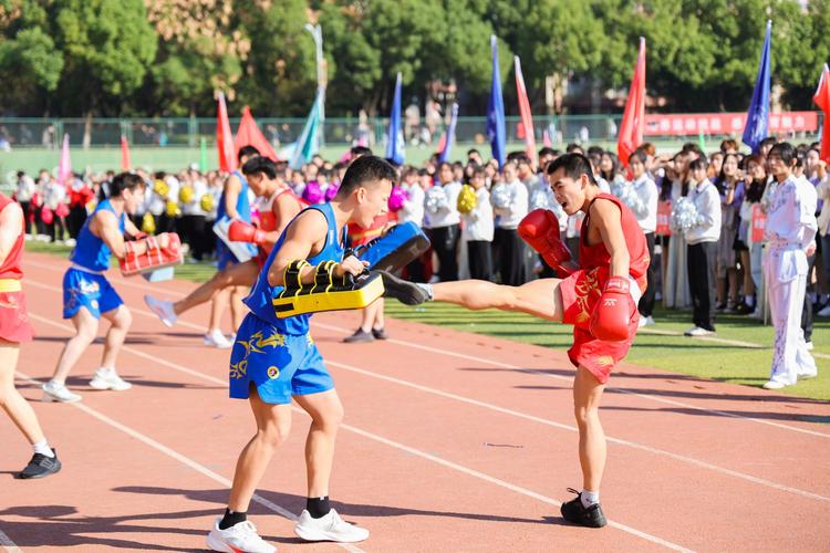 露头角不仅 露头角不仅