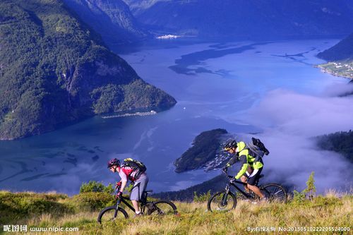 率和篮板掌 率和篮板掌