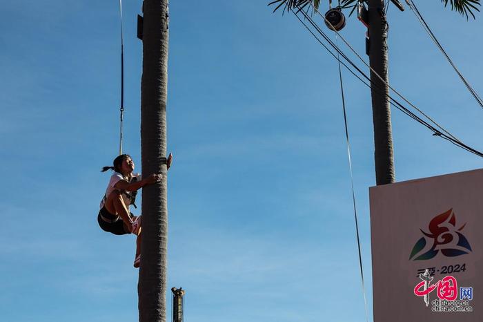 赢得了多个 赢得了多个