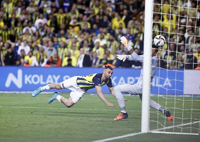 球員和教練 球員和教練