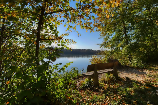 的默契配合 的默契配合